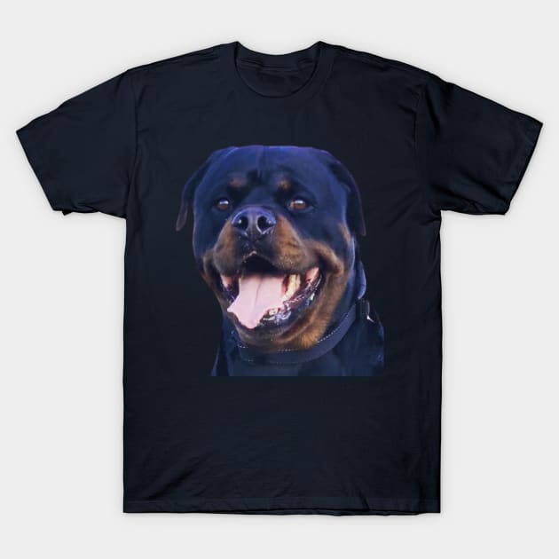 Rottweiler Pooch Smiling BR T-Shirt by PLANTONE